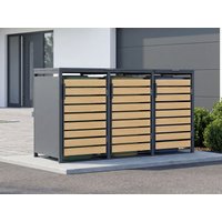 24 % billiger: StarLine 3er Mülltonnenbox Modell Velaro 240 L 2x1m